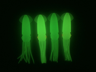 Wholesale soft glowing squid fishing lure